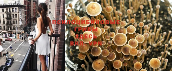 первитин Аркадак