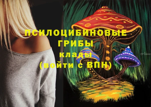 кокс Армянск