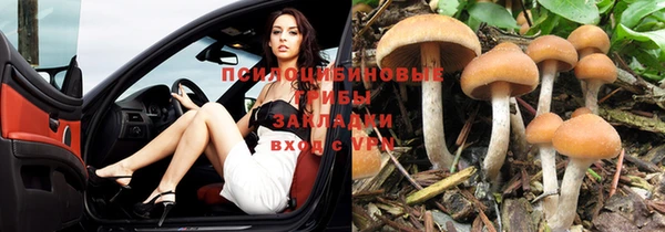 кокс Армянск