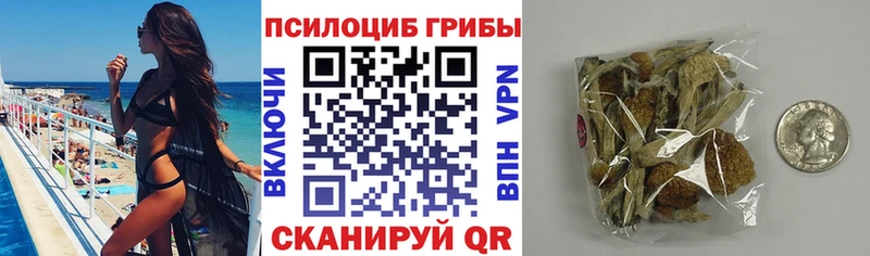 Галлюциногенные грибы мухоморы Опочка